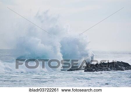 "Waves breaking on the shore, Tsitsikamma, Eastern Cape, South Africa, Africa" View Large Photo Image Stock Image - "Waves breaking on the shore, Tsitsikamma, Eastern Cape, South Africa, Africa". Fotosearch