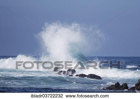 "Waves on the rocky shore, Tsitsikamma, Eastern Cape, South Africa, Africa" View Large Photo Image Stock Image - "Waves on the rocky shore, Tsitsikamma, Eastern Cape, South Africa, Africa". Fotosearch