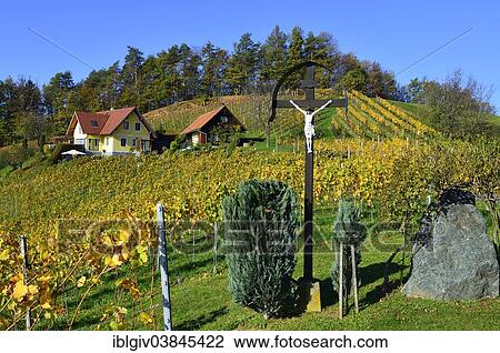 "Wayside shrine in the vineyards, South Styrian Wine Road, Styria, Austria, Europe" View Large Photo Image Stock Image - "Wayside shrine in the vineyards, South Styrian Wine Road, Styria, Austria, Europe". Fotosearch