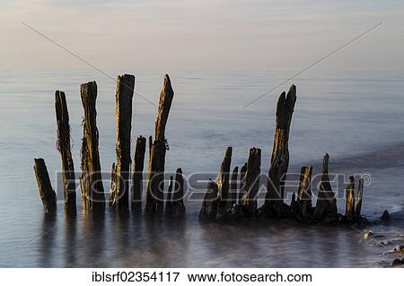 Stock Photo - "Weathered groynes in the sea, Fehmarn Island, Schleswig-Holstein, Germany, Europe". Fotosearch