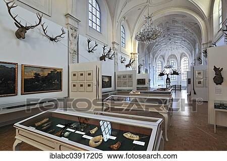 "Weisser Saal, hall, German Hunting and Fishing Museum, Munich, Upper Bavaria, Bavaria, Germany, Europe" View Large Photo Image Stock Photography - "Weisser Saal, hall, German Hunting and Fishing Museum, Munich, Upper Bavaria, Bavaria, Germany, Europe". Fotosearch