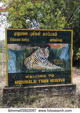 "Welcome sign, Mudumalai Tiger Reserve, Mudumalai Wildlife Sanctuary, Tamil Nadu, India, Asia" View Large Photo Image Stock Photo - "Welcome sign, Mudumalai Tiger Reserve, Mudumalai Wildlife Sanctuary, Tamil Nadu, India, Asia". Fotosearch