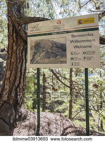 "Welcome sign, Taburiente National Park, La Palma, Canary Islands, Spain, Europe" View Large Photo Image Stock Image - "Welcome sign, Taburiente National Park, La Palma, Canary Islands, Spain, Europe". Fotosearch