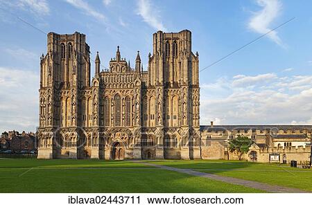 Stock Image - "Wells Cathedral from the Cathedral Green in evening light, Wells, England, United Kingdom, Europe". Fotosearch