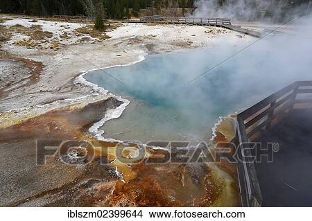 "West Thumb Geyser Basin, Yellowstone Lake, Yellowstone National Park, Wyoming, USA" View Large Photo Image Picture - "West Thumb Geyser Basin, Yellowstone Lake, Yellowstone National Park, Wyoming, USA". Fotosearch