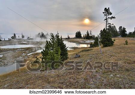 "West Thumb Geyser Basin, Yellowstone Lake, Yellowstone National Park, Wyoming, USA" View Large Photo Image Stock Photograph - "West Thumb Geyser Basin, Yellowstone Lake, Yellowstone National Park, Wyoming, USA". Fotosearch
