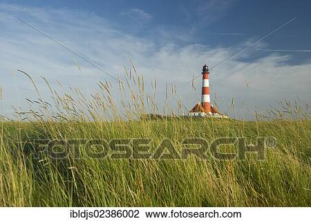 Stock Image - "Westerheversand Lighthouse, Westerhever, Eiderstedt, North Frisia, Schleswig-Holstein, Germany, Europe". Fotosearch