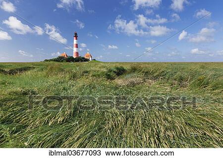 "Westerheversand Lighthouse, Westerhever, Eiderstedt, North Frisia, Schleswig-Holstein, Germany, Europe" View Large Photo Image Stock Image - "Westerheversand Lighthouse, Westerhever, Eiderstedt, North Frisia, Schleswig-Holstein, Germany, Europe". Fotosearch