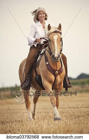 "Western rider on Criollo, Palomino with blaze, gelding, gallopping on a stubble field" View Large Photo Image Stock Photo - "Western rider on Criollo, Palomino with blaze, gelding, gallopping on a stubble field". Fotosearch