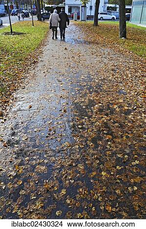 Picture - "Wet autumn foliage on a sidewalk, Munich, Bavaria, Germany, Europe". Fotosearch