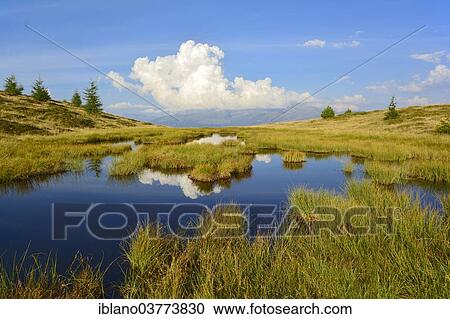 "Wetlands at Melchboden, Zillertal Valley, Tux Alps or Tux Prealps, Tyrol, Austria, Europe" View Large Photo Image Stock Image - "Wetlands at Melchboden, Zillertal Valley, Tux Alps or Tux Prealps, Tyrol, Austria, Europe". Fotosearch