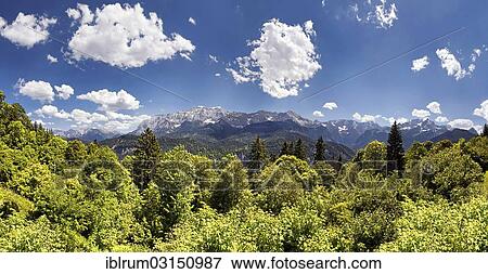 "Wetterstein Mountains seen from Eckbauer Mountain, Eckbauer, Garmisch-Partenkirchen, Upper Bavaria, Bavaria, Germany, Europe" View Large Photo Image Stock Photo - "Wetterstein Mountains seen from Eckbauer Mountain, Eckbauer, Garmisch-Partenkirchen, Upper Bavaria, Bavaria, Germany, Europe". Fotosearch