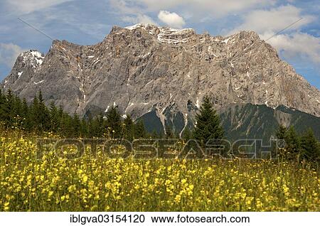 "Wetterstein Moutains with Zugspitze Mountain, Schneefernerkopf Mountain and Wetterspitzen Mountain, Zugspitze Arena, Ehrwald, Tyrol, Austria, Europe" View Large Photo Image Stock Image - "Wetterstein Moutains with Zugspitze Mountain, Schneefernerkopf Mountain and Wetterspitzen Mountain, Zugspitze Arena, Ehrwald, Tyrol, Austria, Europe". Fotosearch