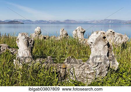 Stock Photo - "Whale Bone Alley, Yttygran Island, Chukotka, Russia, Europe". Fotosearch
