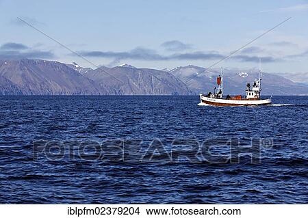 "Whale watching boat, Husavik, Iceland, Europe" View Large Photo Image Picture - "Whale watching boat, Husavik, Iceland, Europe". Fotosearch