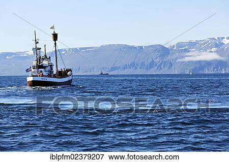 "Whale watching boat, Husavik, Iceland, Europe" View Large Photo Image Stock Photo - "Whale watching boat, Husavik, Iceland, Europe". Fotosearch