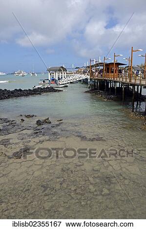 Stock Photo - "Wharf and jetties as a starting point for Galapagos cruises on the harbour of Puerto Ayora, Santa Cruz Island, Indefatigable Island, Galapagos Islands, Ecuador, South America". Fotosearch