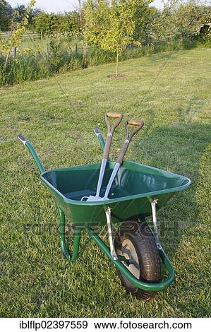 "Wheelbarrow with spade and fork on garden lawn, Bacton, Suffolk, England, United Kingdom, Europe" View Large Photo Image Stock Photo - "Wheelbarrow with spade and fork on garden lawn, Bacton, Suffolk, England, United Kingdom, Europe". Fotosearch