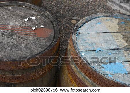 "Whiskey barrels from America, used once to make Boubon Whisky are waiting to be reused in the production of Scotch Single Malt Whisky, Speyside, Scotland, United Kingdom, Europe" View Large Photo Image Stock Photograph - "Whiskey barrels from America, used once to make Boubon Whisky are waiting to be reused in the production of Scotch Single Malt Whisky, Speyside, Scotland, United Kingdom, Europe". Fotosearch