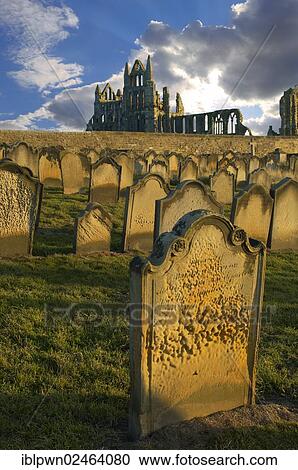 "Whitby Abbey with grave stones in evening light, North Yorkshire Moors National Park, England, United Kingdom, Europe" View Large Photo Image Stock Image - "Whitby Abbey with grave stones in evening light, North Yorkshire Moors National Park, England, United Kingdom, Europe". Fotosearch
