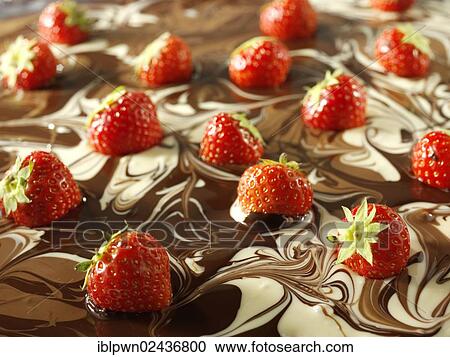 White and milk chocolate swirls with strawberries View Large Photo Image Stock Image - White and milk chocolate swirls with strawberries. Fotosearch