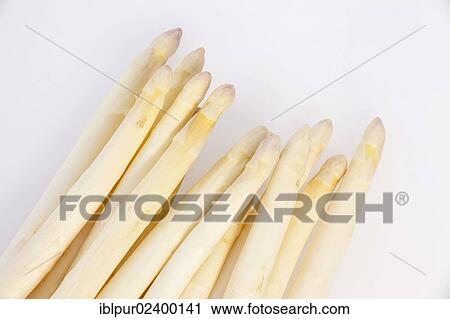 White Asparagus (Asparagus officinalis) View Large Photo Image Stock Image - White Asparagus (Asparagus officinalis). Fotosearch
