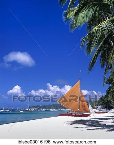 "White Beach, a white sandy beach, palm trees, sea, banka or outrigger boat with sails, Boracay, Aklan, Philippines, Asia" View Large Photo Image Stock Photograph - "White Beach, a white sandy beach, palm trees, sea, banka or outrigger boat with sails, Boracay, Aklan, Philippines, Asia". Fotosearch