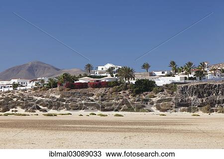 "White buildings and palm trees, Casas Risco del Paso, Risco del Paso, Fuerteventura, Canary Islands, Spain, Europe" View Large Photo Image Stock Image - "White buildings and palm trees, Casas Risco del Paso, Risco del Paso, Fuerteventura, Canary Islands, Spain, Europe". Fotosearch