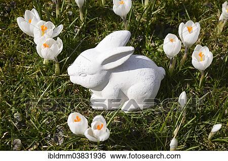 White ceramic Easter Bunny and crocuses View Large Photo Image Stock Photograph - White ceramic Easter Bunny and crocuses. Fotosearch