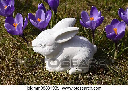White ceramic Easter Bunny and crocuses View Large Photo Image Stock Photography - White ceramic Easter Bunny and crocuses. Fotosearch