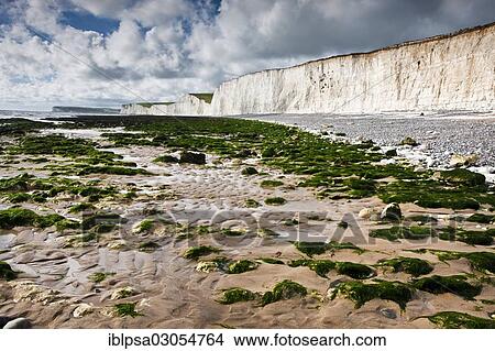"White chalk cliffs, Seven Sisters Country Park, East Sussex, England, United Kingdom, Europe" View Large Photo Image Picture - "White chalk cliffs, Seven Sisters Country Park, East Sussex, England, United Kingdom, Europe". Fotosearch