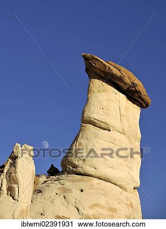 Stock Image - "White Hoodoos, Toadstool Hoodoos, moon, Rimrocks, Grand Staircase-Escalante National Monument, GSENM, Utah, USA". Fotosearch