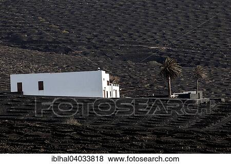 "White House in the wine-growing region La Geria, Lanzarote, Canary Islands, Spain, Europe" View Large Photo Image Stock Photo - "White House in the wine-growing region La Geria, Lanzarote, Canary Islands, Spain, Europe". Fotosearch