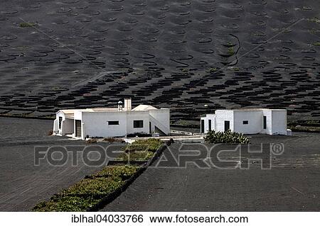 "White houses in the wine-growing region La Geria, Lanzarote, Canary Islands, Spain, Europe" View Large Photo Image Stock Photograph - "White houses in the wine-growing region La Geria, Lanzarote, Canary Islands, Spain, Europe". Fotosearch