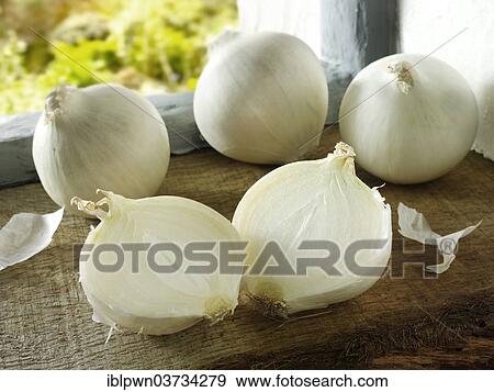 White onions View Large Photo Image Stock Photo - White onions. Fotosearch