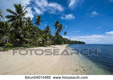 Stock Image - "White sand beach and palm trees, Yap Island, Caroline Islands, Micronesia, Oceania". Fotosearch