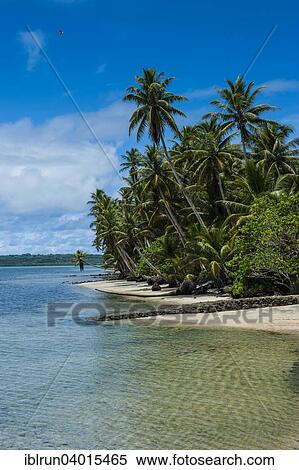 Stock Photography - "White sand beach and palm trees, Yap Island, Caroline Islands, Micronesia, Oceania". Fotosearch