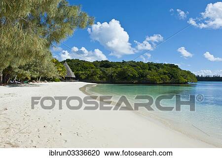 "White sand beach, Bay de Kanumera, Ile des Pins, New Caledonia, France, Oceania" View Large Photo Image Stock Image - "White sand beach, Bay de Kanumera, Ile des Pins, New Caledonia, France, Oceania". Fotosearch