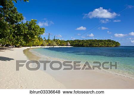 "White sand beach, Bay de Kanumera, Ile des Pins, New Caledonia, France, Oceania" View Large Photo Image Stock Photo - "White sand beach, Bay de Kanumera, Ile des Pins, New Caledonia, France, Oceania". Fotosearch