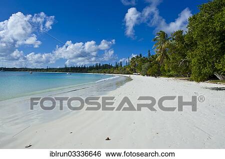 "White sand beach, Bay de Kanumera, Ile des Pins, New Caledonia, France, Oceania" View Large Photo Image Stock Photograph - "White sand beach, Bay de Kanumera, Ile des Pins, New Caledonia, France, Oceania". Fotosearch