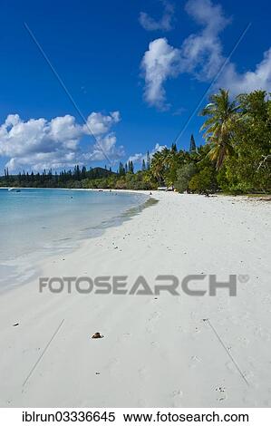 "White sand beach, Bay de Kanumera, Ile des Pins, New Caledonia, France, Oceania" View Large Photo Image Stock Photography - "White sand beach, Bay de Kanumera, Ile des Pins, New Caledonia, France, Oceania". Fotosearch