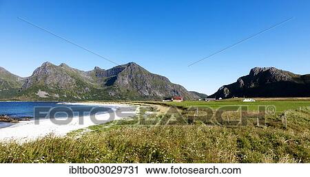 "White sandy beach on the North Atlantic, bay with green meadows, Flakstad, Flakstadoy, Lofoten, Nordland, Norway, Europe" View Large Photo Image Stock Image - "White sandy beach on the North Atlantic, bay with green meadows, Flakstad, Flakstadoy, Lofoten, Nordland, Norway, Europe". Fotosearch