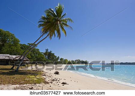"White sandy beach, Port Orly, Espiritu Santo, Sanma Province, Vanuatu, Oceania" View Large Photo Image Stock Photo - "White sandy beach, Port Orly, Espiritu Santo, Sanma Province, Vanuatu, Oceania". Fotosearch