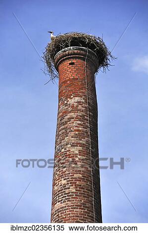 "White stork (Ciconia ciconia) perched on its nest on the old chimney of a former brewery, Gustavstrasse Street, Fuerth, Middle Franconia, Bavaria, Germany, Europe" View Large Photo Image Stock Photography - "White stork (Ciconia ciconia) perched on its nest on the old chimney of a former brewery, Gustavstrasse Street, Fuerth, Middle Franconia, Bavaria, Germany, Europe". Fotosearch