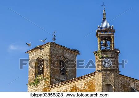 "White Stork nests on the roof of the church of Santa Maria la Mayor, Trujillo, Spain, Europe" View Large Photo Image Stock Photo - "White Stork nests on the roof of the church of Santa Maria la Mayor, Trujillo, Spain, Europe". Fotosearch