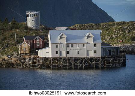"White warehouse by the fjord, modern tower or silo at back, Fischerdorf Skrova, Inselgruppe Skrova, Vestfjord, Lofoten, Nordland, Northern Norway, Norway, Europe" View Large Photo Image Stock Image - "White warehouse by the fjord, modern tower or silo at back, Fischerdorf Skrova, Inselgruppe Skrova, Vestfjord, Lofoten, Nordland, Northern Norway, Norway, Europe". Fotosearch