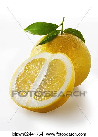 Whole and half grapefruit with leaves View Large Photo Image Picture - Whole and half grapefruit with leaves. Fotosearch