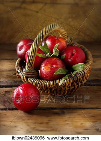 Stock Photograph - Whole fresh red plums. Fotosearch