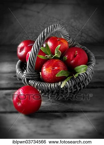 Stock Photograph - Whole fresh red plums. Fotosearch