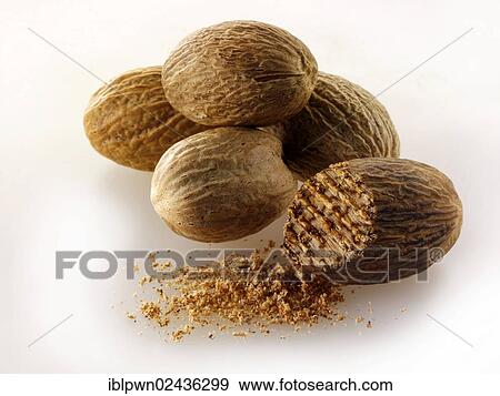 Stock Photo - Whole nutmegs. Fotosearch